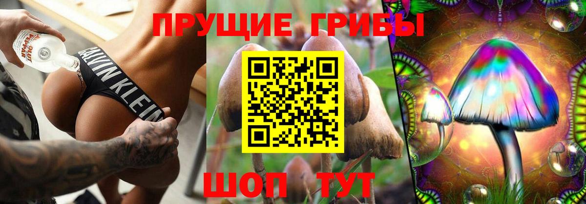 Псилоцибиновые грибы мухоморы Туапсе